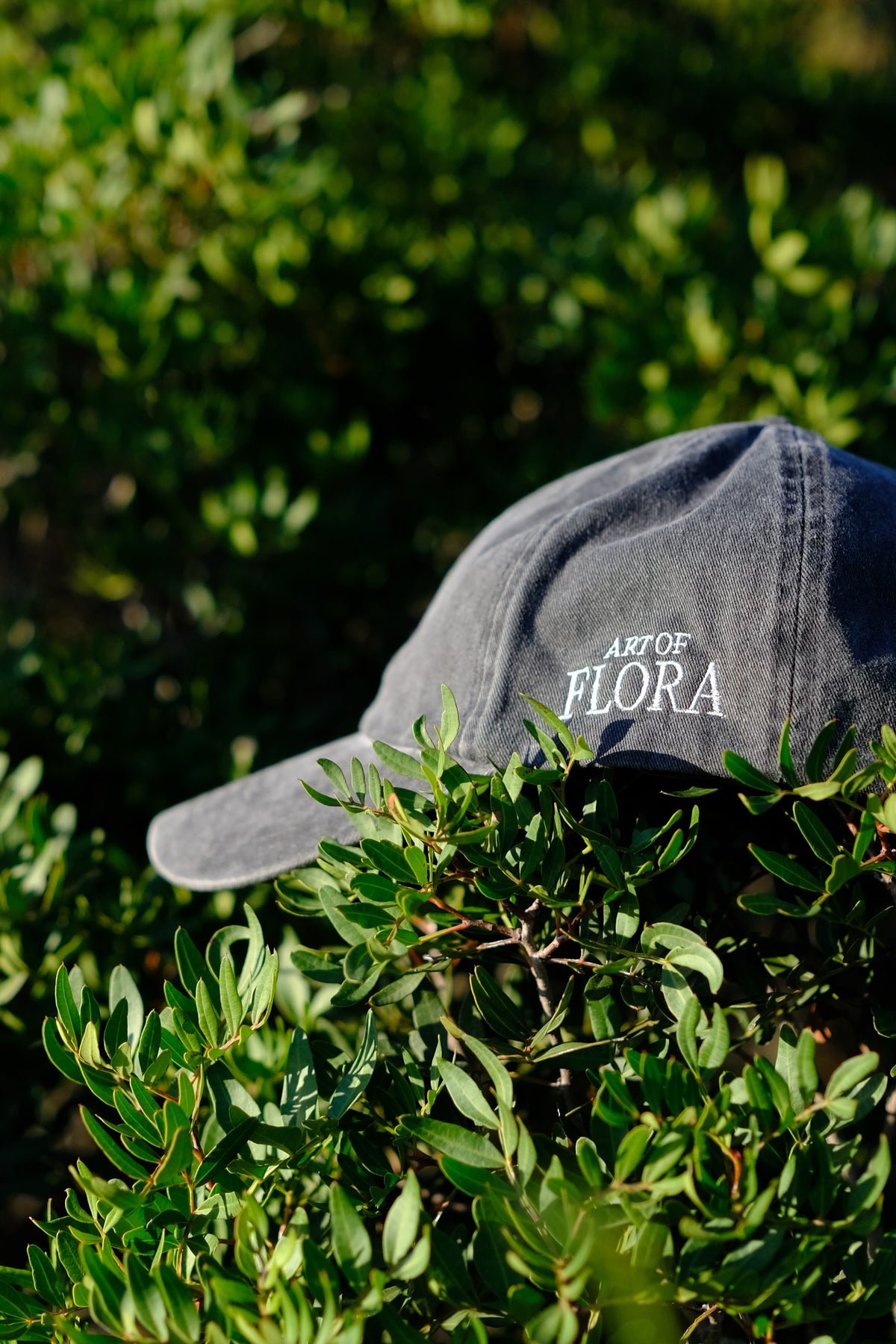 Art of Flora Cap: Pumpkin [Autumn Edition 2026] 🍂